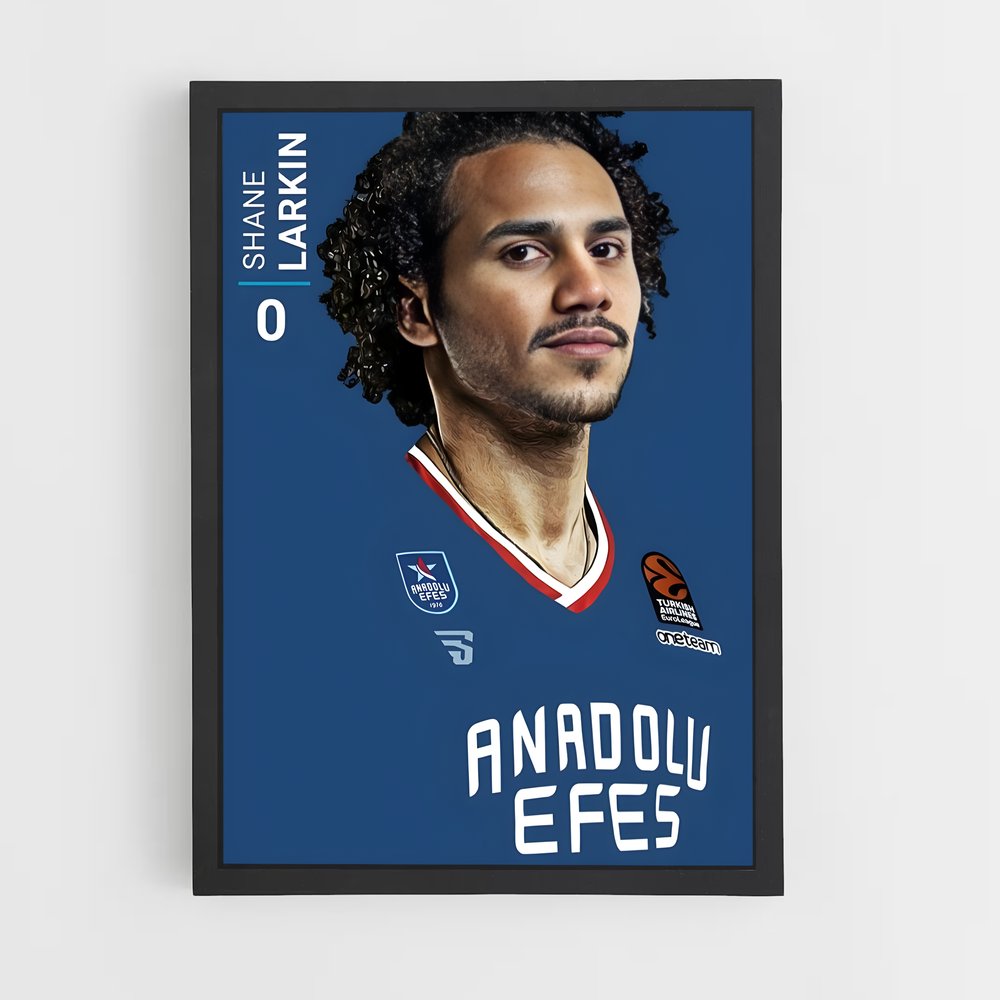 Poster Hairy Dunk – affiche Basketball (vue 2)